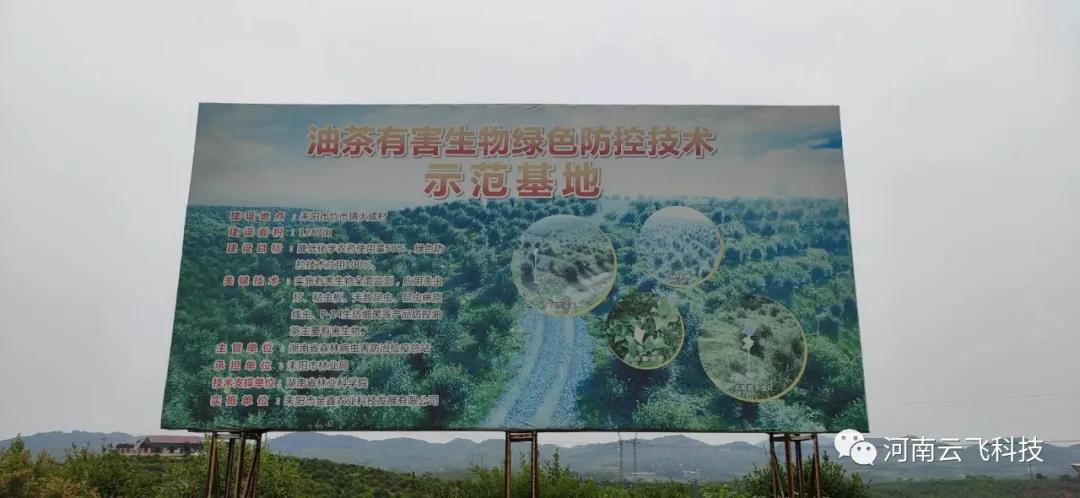 湖南耒陽市油茶示范基地利用云飛自清蟲殺蟲燈綠色殺蟲